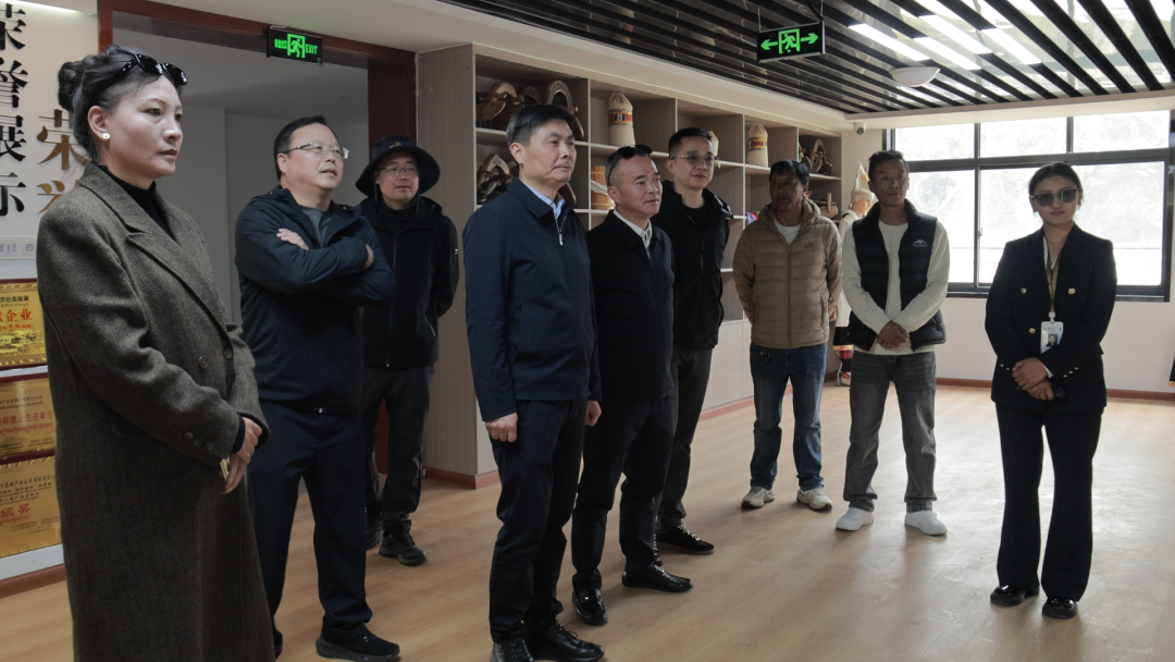 浙江省援藏指挥部赴嘉黎县考察调研并看望援藏干部人才