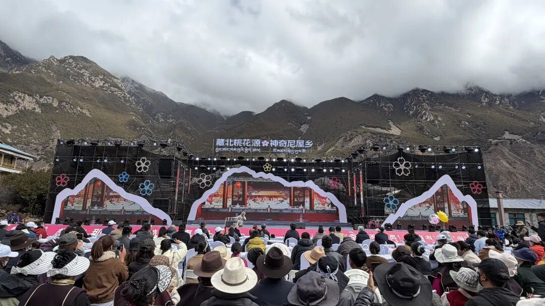 嘉黎县第十一届桃花盛会开幕式举行 浙江援藏要素精彩纷呈