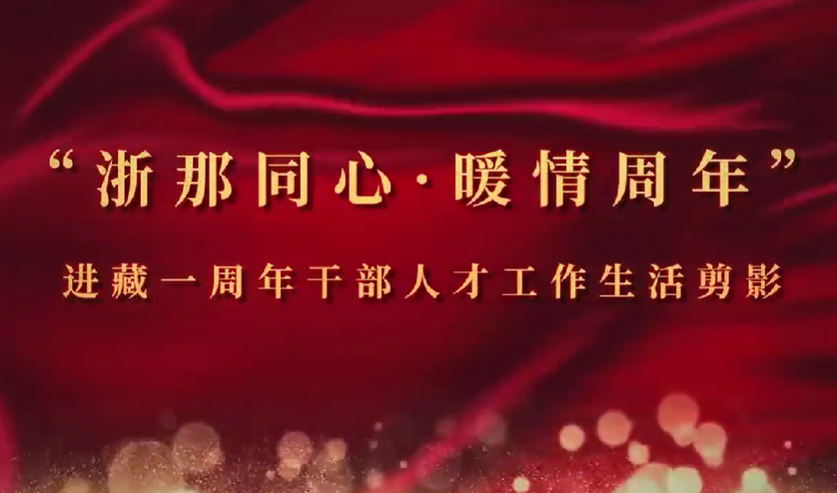 省第十一批援藏干部人才掠影与代表感悟